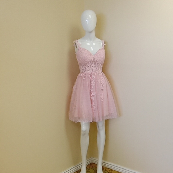 Elegant Pink Lace Dress